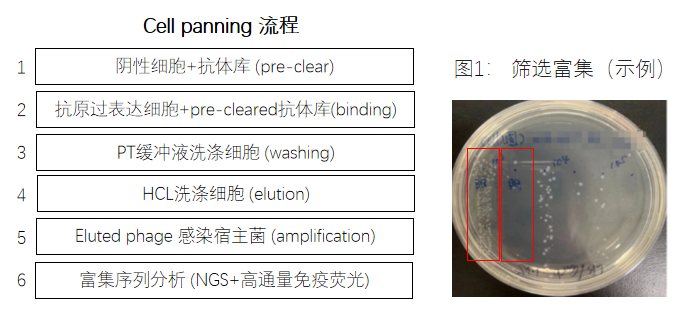 微信截图_20230717095934