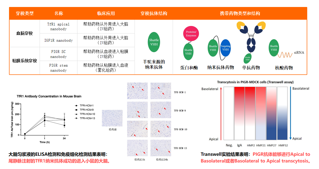 微信截图_20230718144057